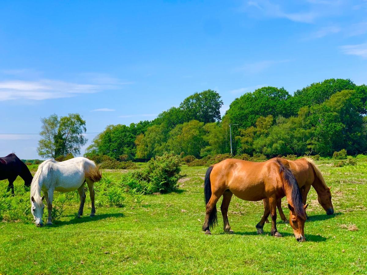 Forest Haven Sway Esterno foto