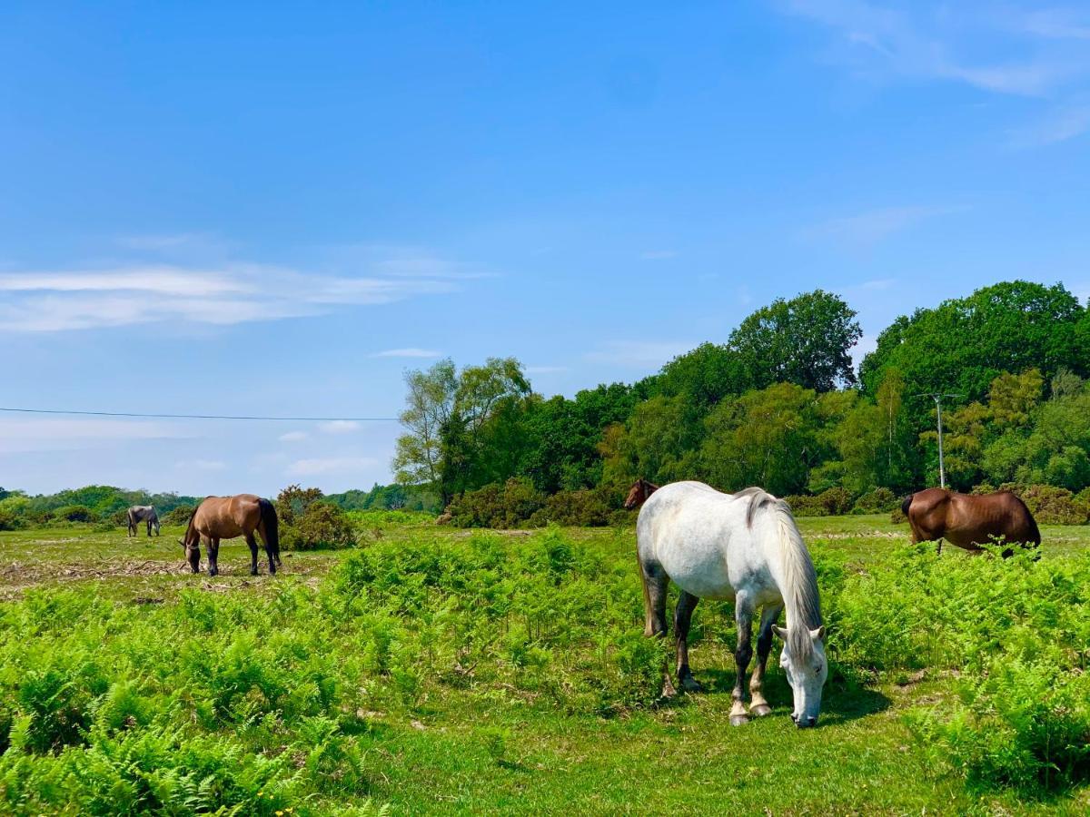Forest Haven Sway Esterno foto