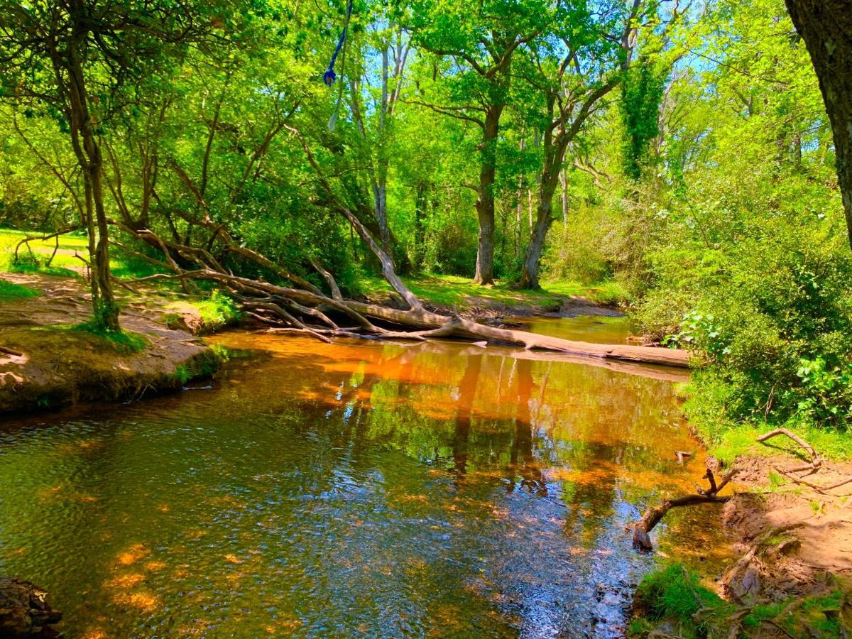 Forest Haven Sway Esterno foto