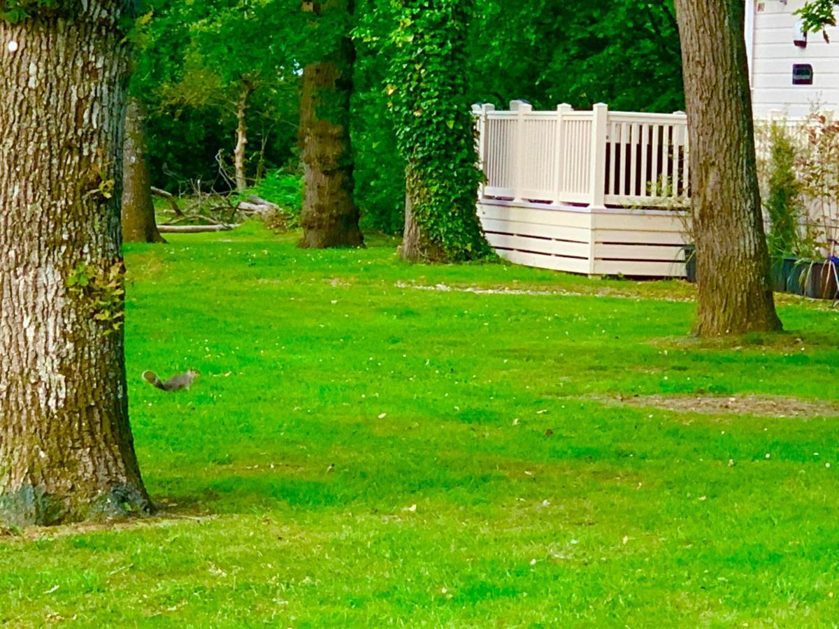 Forest Haven Sway Esterno foto