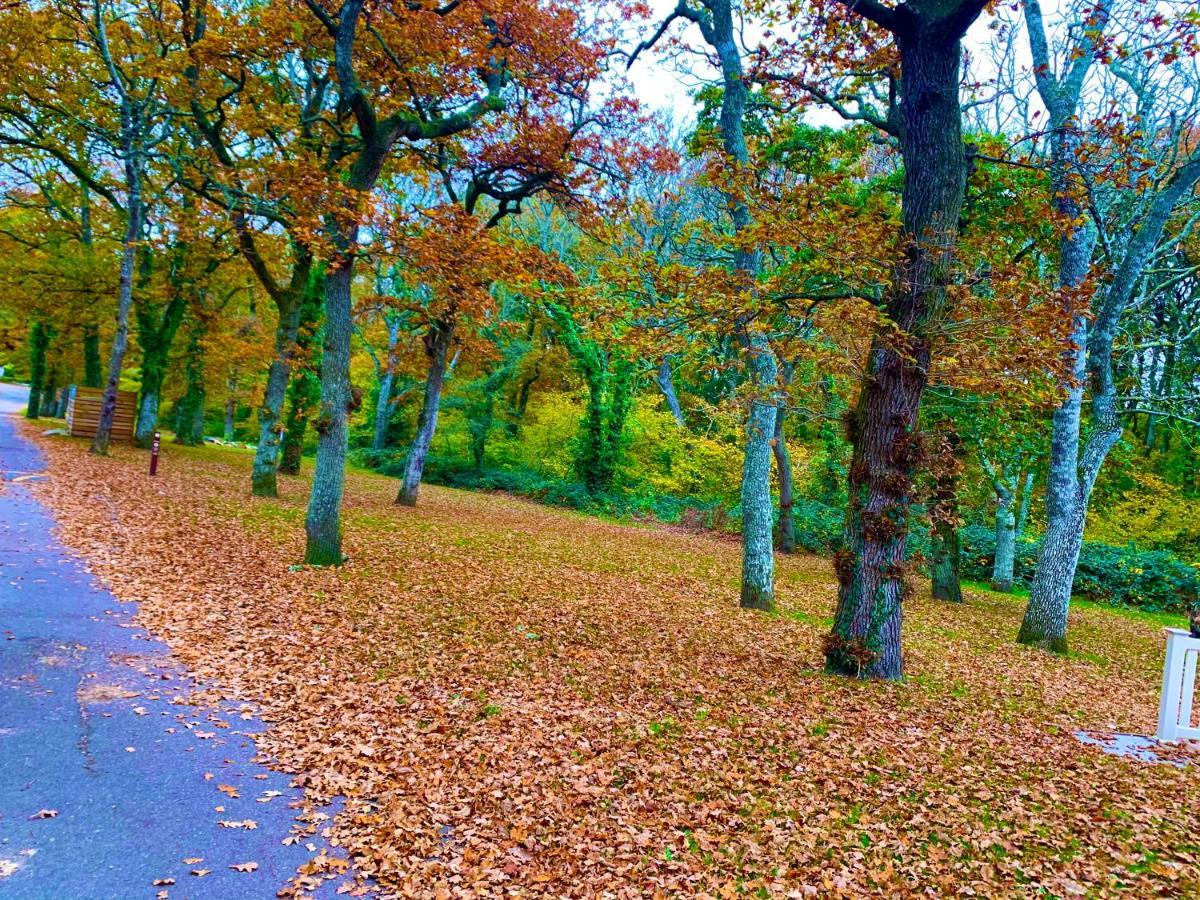 Forest Haven Sway Esterno foto
