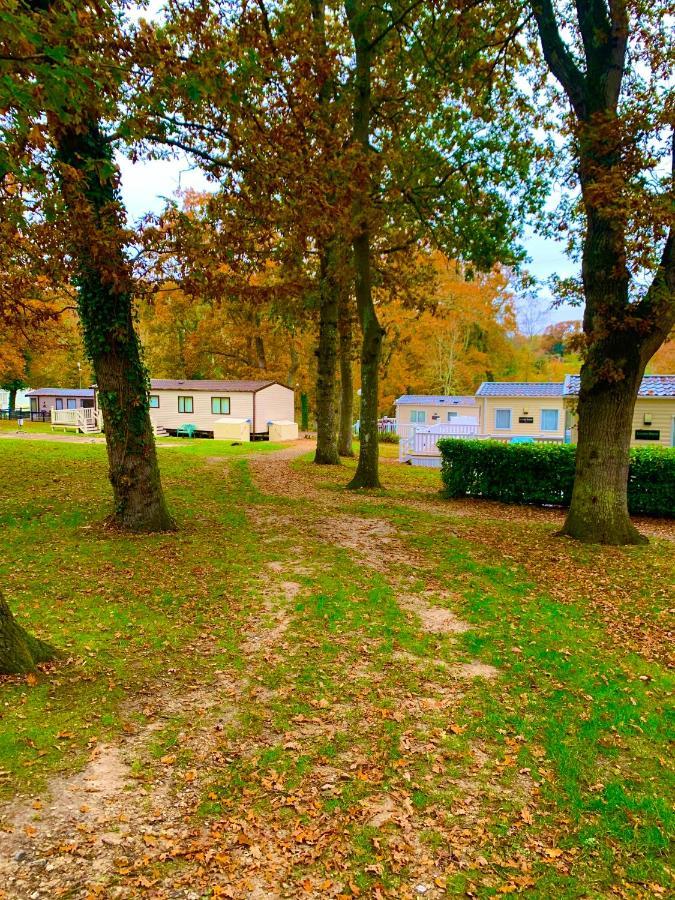 Forest Haven Sway Esterno foto