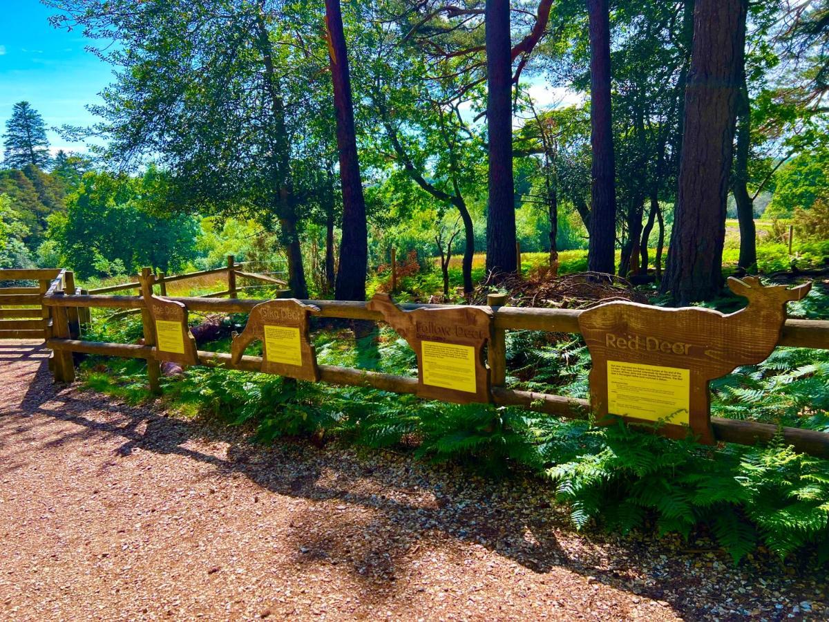 Forest Haven Sway Esterno foto